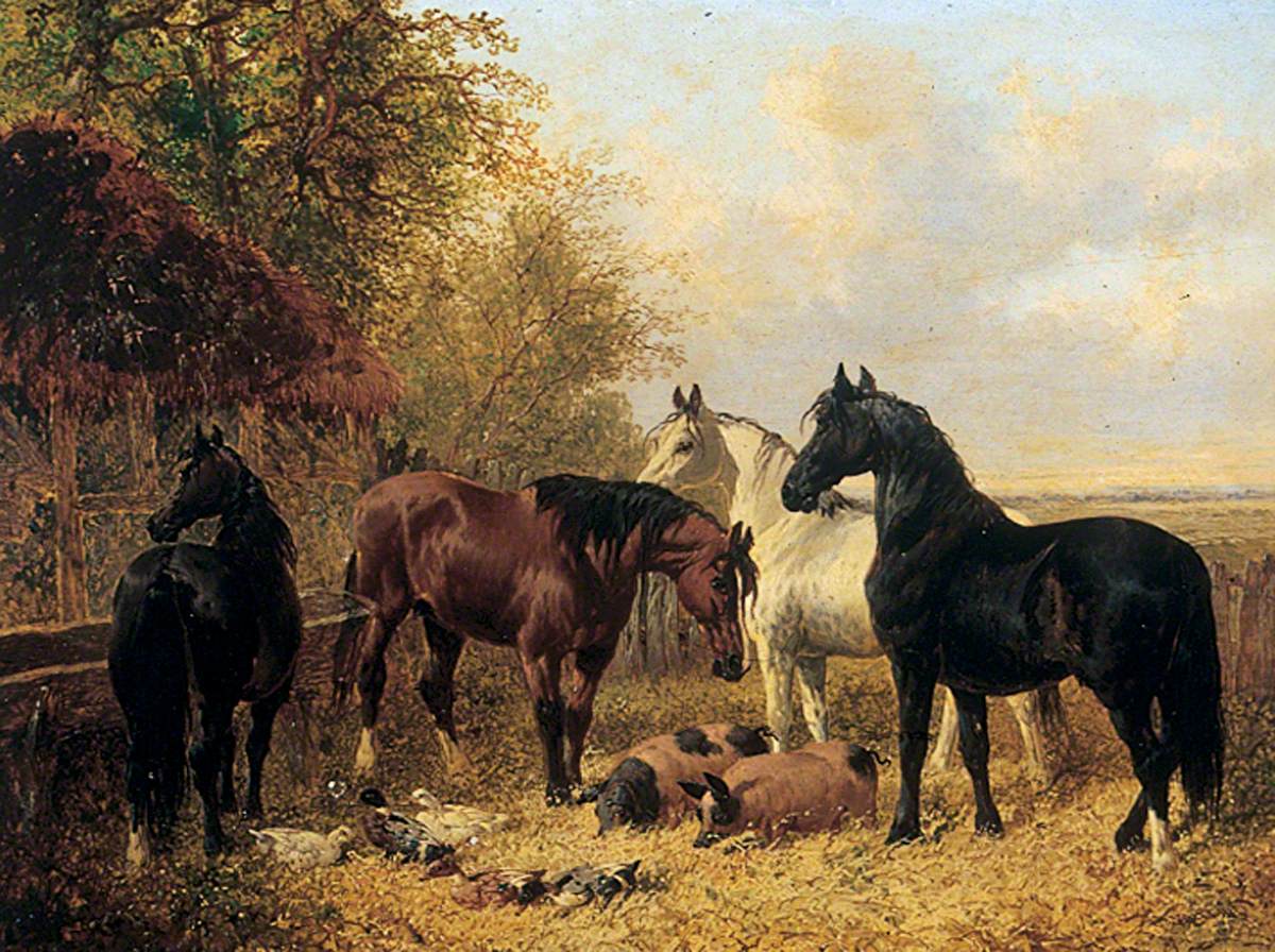 Horses and Pigs